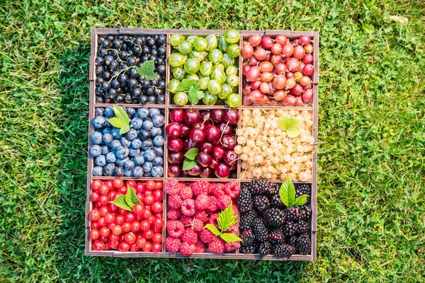 緑の芝生の上の木箱に夏の果実 トップ表示 — ストック写真