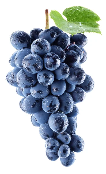 Ramo Uvas Azules Gotas Agua Con Una Hoja Uva Aislada —  Fotos de Stock