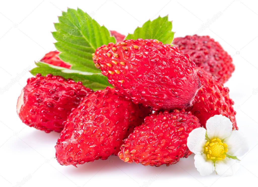Ripe red wild strawberry with strawberries leaves isolated on white background.