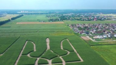 Ukrayna 'nın dev sembolü mısır tarlasında filizlenen mısırların oluşturduğu bir mızraktır. Yukarıdan bak. 05.08.2021, Ukrayna, Velyka Oleksandrivka köyü.