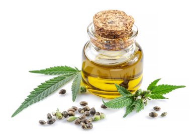 Kenevir yaprakları, tohumlar ve kenevir yağı beyaz arka planda izole edilmiş. Kapat..