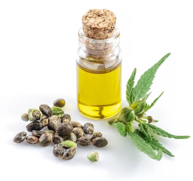 Kenevir yaprakları, tohumlar ve kenevir yağı beyaz arka planda izole edilmiş. Kapat..