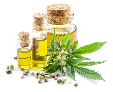 Kenevir yaprakları, tohumlar ve kenevir yağı beyaz arka planda izole edilmiş. Kapat..