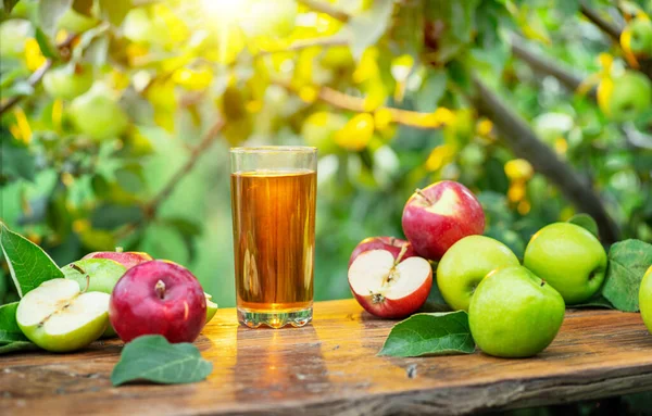 Čerstvý Jablečný Džus Organická Jablka Dřevěném Stole Letní Sad Večerních — Stock fotografie