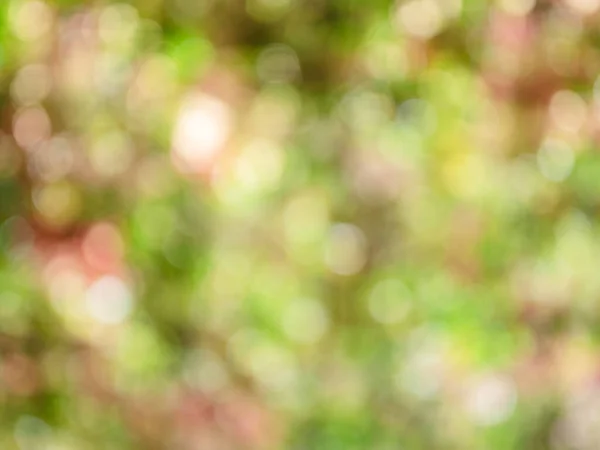 Όμορφη Θολή Πολύχρωμο Φόντο Φθινόπωρο Φωτεινό Αφηρημένο Bokeh — Φωτογραφία Αρχείου