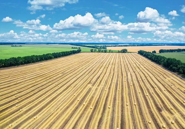 Luchtfoto Van Het Geoogste Tarweveld Blauwe Lucht Achtergrond Haystacks Lag — Stockfoto