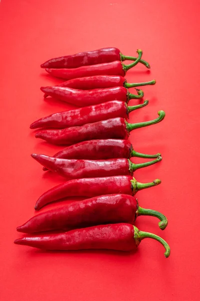 Fresh Red Chilli Peppers Lay Row Isolated Red Background Top — Stock Photo, Image