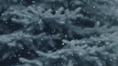 Mavi ladin dallarının arka planına rastgele kar yağar. Sakin bir kış Noel arkaplanı.