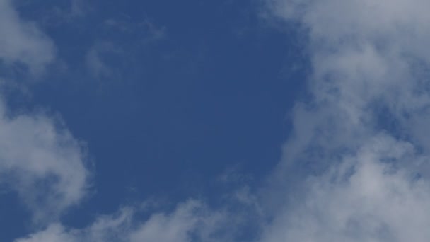 青い晴れた空に白い大きな雲のクローズアップ4K時間経過ビデオ 夏の青空の時間の経過 雲の中を飛行機が飛ぶ効果 — ストック動画