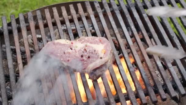 Vire Bifes Costela Com Especiarias Uma Grelha Churrasco Com Fogo — Vídeo de Stock