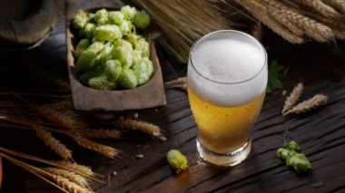  Taze bira akıntısı filtresiz bira bardağına dökülür, olgun bira şerbetçiotu, arpa kulağı ve arka planda ev yapımı bira ruhu ile.. 