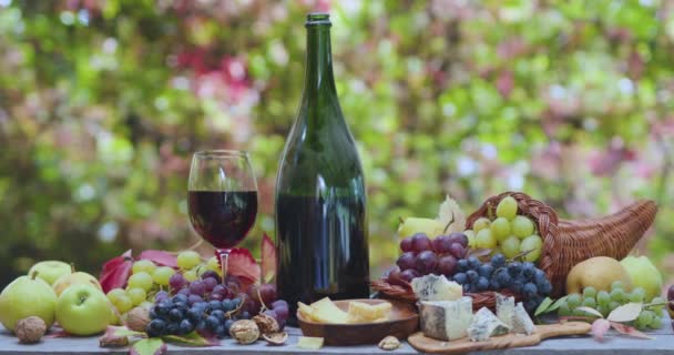 Bodegón Con Vino Diferentes Uvas Frutas Otoño Quesos Sobre Fondo — Vídeo de stock