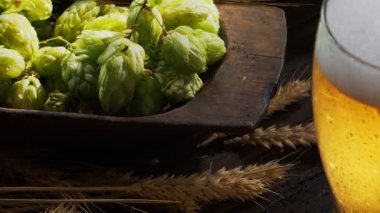 Olgun bira kadehleri, arpa kulakları ve arka planda ev yapımı bira ruhu. Büyüt.