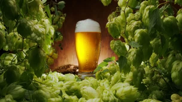 カメラはゆっくりと熟したビールホップの茂みを通してビールの輝くガラスに向かって移動します — ストック動画