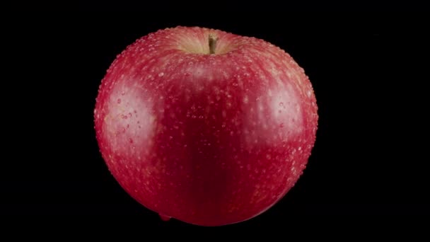 Rotate 360 Degrees Red Ripe Apple Black Background — Stock Video