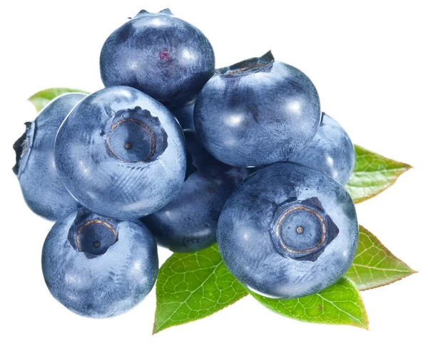 Blueberries with leaves on a white background. — Stock Photo, Image