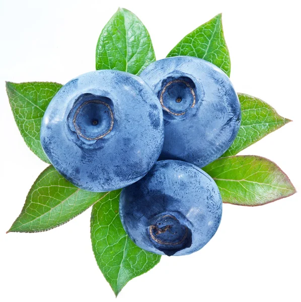 Blueberries with leaves on a white background. — Stock Photo, Image