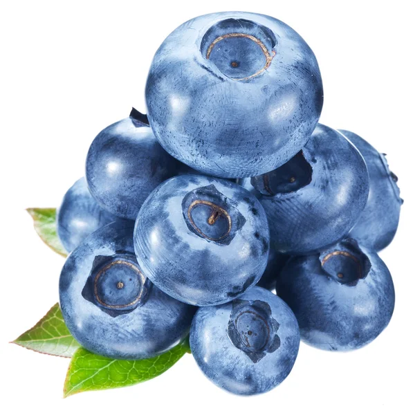 Blueberries with leaves on a white background. — Stock Photo, Image