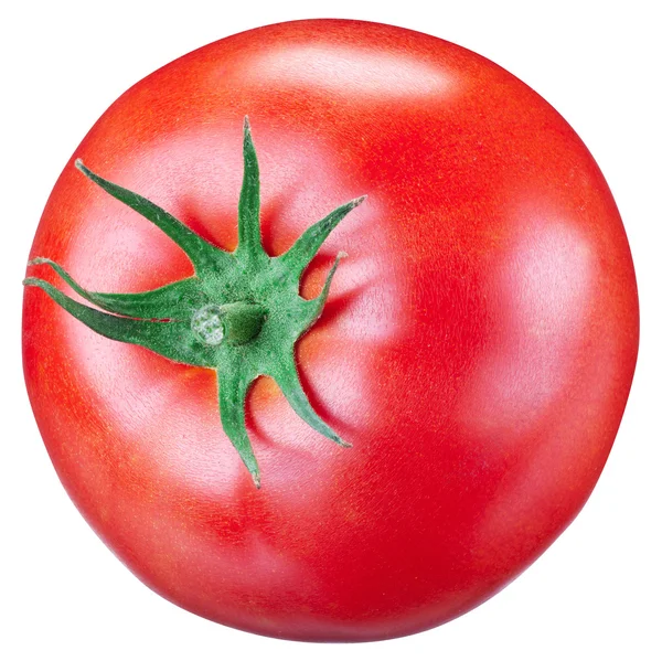 Tomate auf weißem Hintergrund. — Stockfoto
