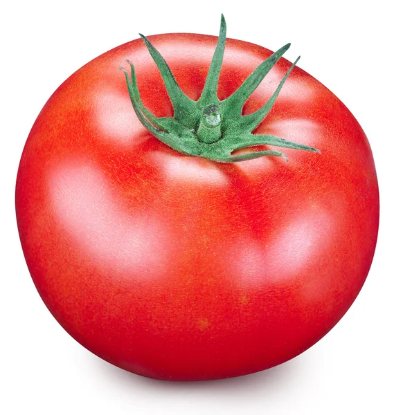 Tomate auf weißem Hintergrund. — Stockfoto