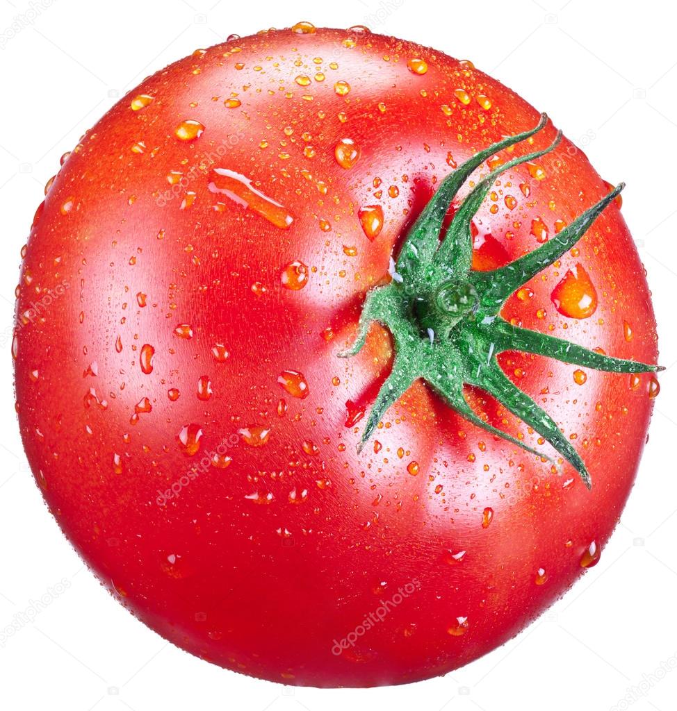 Tomato with water drops.