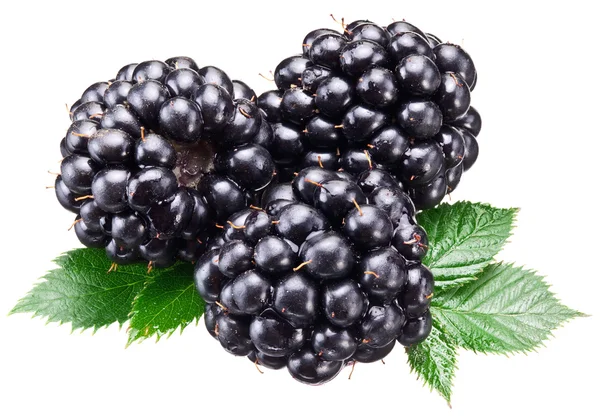 Fresas con hojas aisladas sobre blanco . —  Fotos de Stock