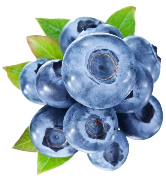 Blueberries with leaves on a white background. — Stock Photo, Image