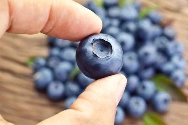 Blueberry in the man's hands. — Stock Photo, Image