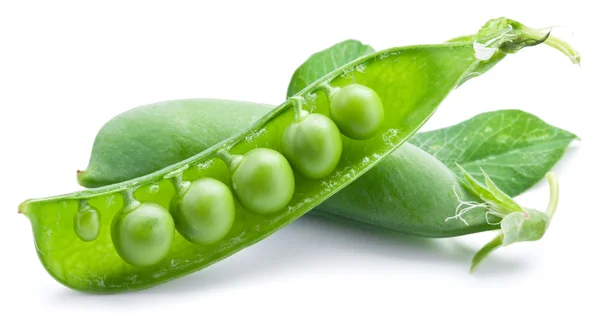 Fresh peas are contained within a pod. — Stock Photo, Image