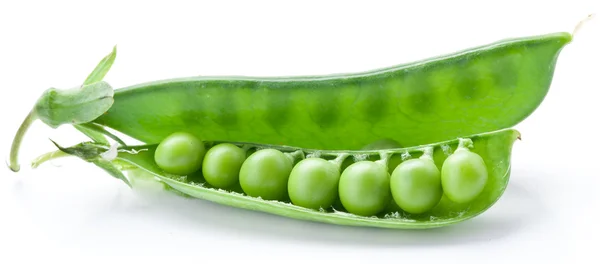 Fresh peas are contained within a pod. — Stock Photo, Image