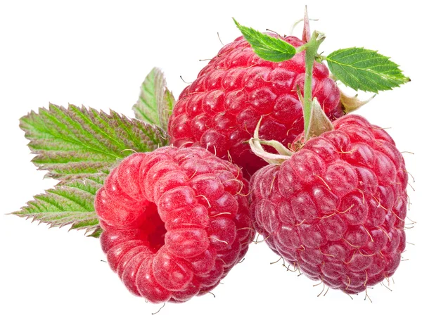 Three raspberry fruit isolated on a white. — Stock Photo, Image