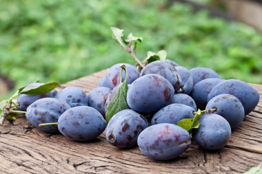 Erik eski ahşap masa.