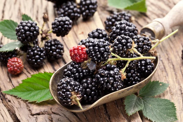 Brombeeren mit Blättern auf einem alten Holztisch. — Stockfoto