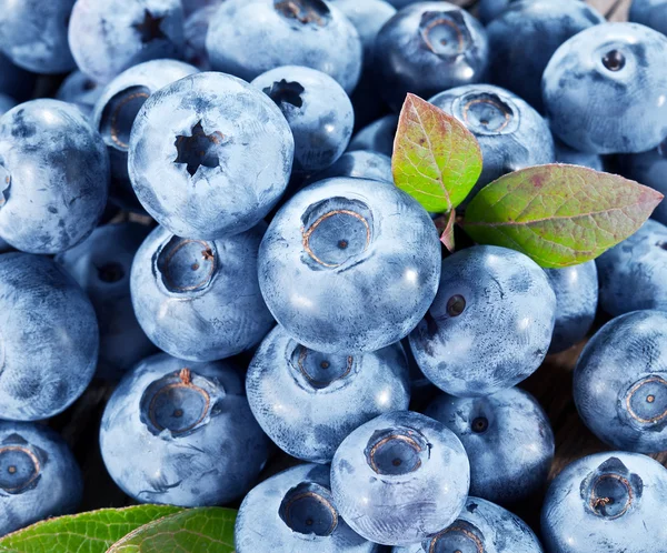 Reife Blaubeeren - Lebensmittel Hintergrund. Makroaufnahme. — Stockfoto