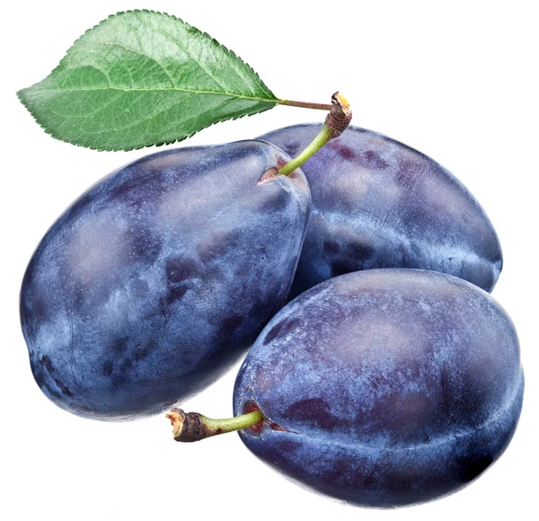 Three plums with leaf. — Stock Photo, Image