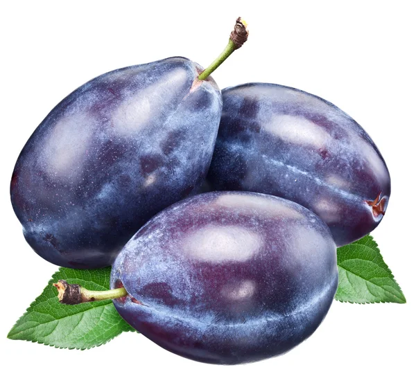 Three plums with leaf. — Stock Photo, Image