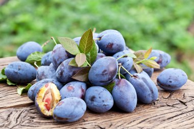 Erik eski ahşap masa.