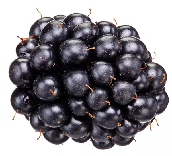 黑莓孤立在白色的背景. — 图库照片