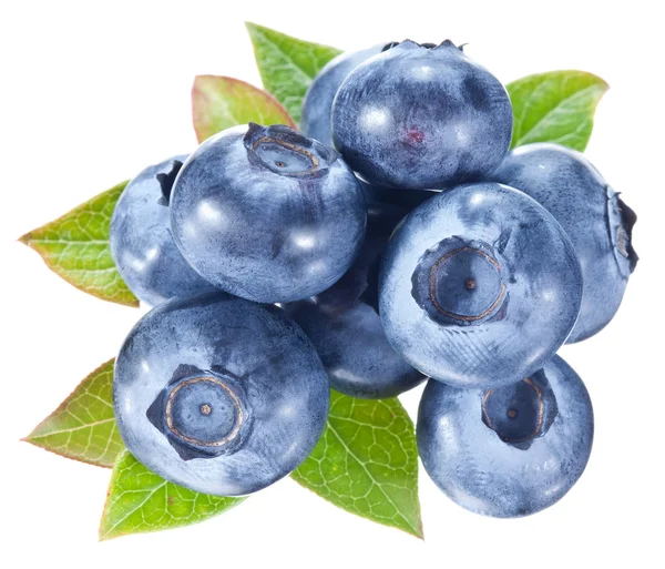 Blueberries with leaves on a white background. — Stock Photo, Image