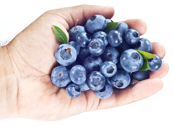 Blueberries in the man's hand. — Stock Photo, Image