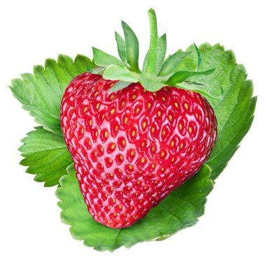 Bir zengin çilek meyve. Çalışma yolları.