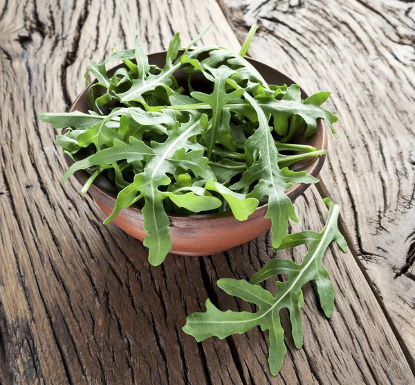 Sült saláta kitûnõ gyógynövény. — Stock Fotó