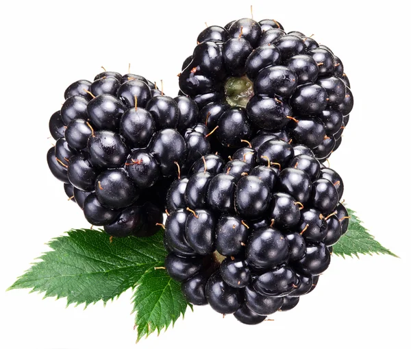Blackberries with leaves isolated over white. — Stock Photo, Image
