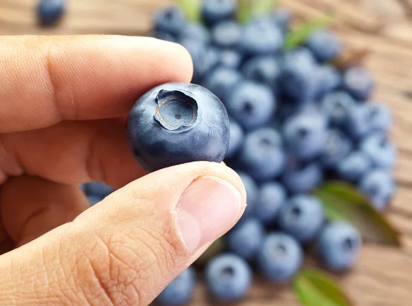 Blueberry in the man's hand. — Stock Photo, Image