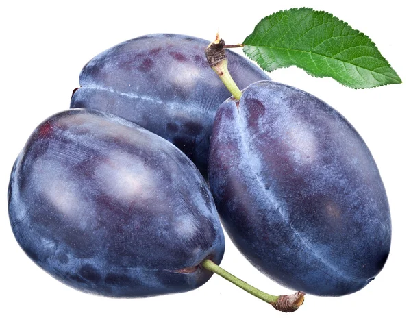 Three plums with leaf. — Stock Photo, Image