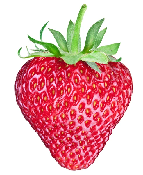 One rich strawberry fruit. Clipping paths. — Stock Photo, Image