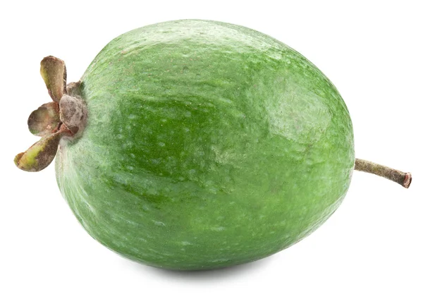 Φειζοα-Γκουαγιαμπο φρούτων απομονωθεί σε λευκό φόντο. — Φωτογραφία Αρχείου