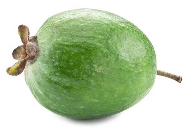 Fruit Feijoa isolé sur fond blanc . — Photo