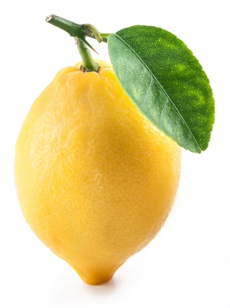 Limone con foglia . — Foto Stock