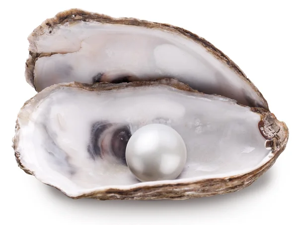 Auster mit Perle isoliert. — Stockfoto